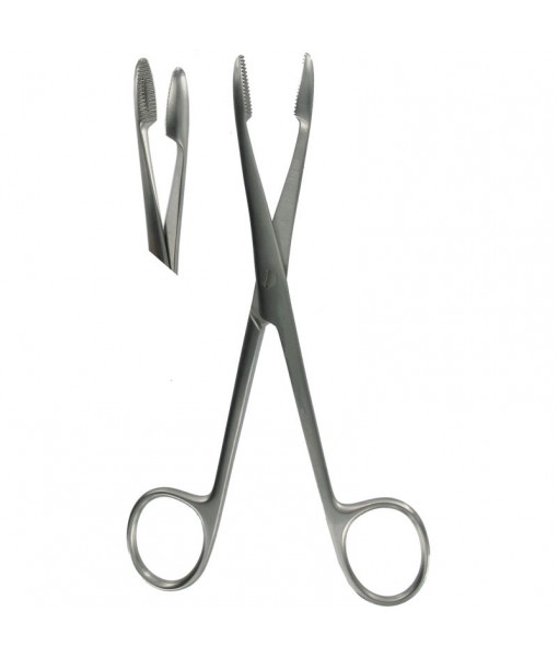 Sponge Forceps