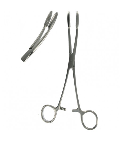 Sponge Forceps